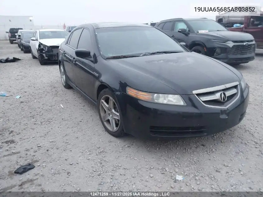 19UUA65685A803852 2005 Acura Tl