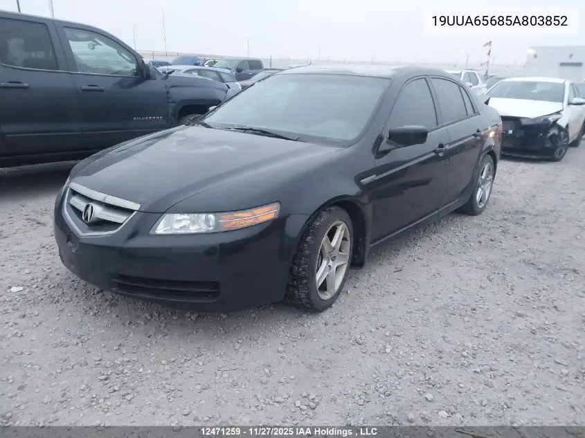 19UUA65685A803852 2005 Acura Tl