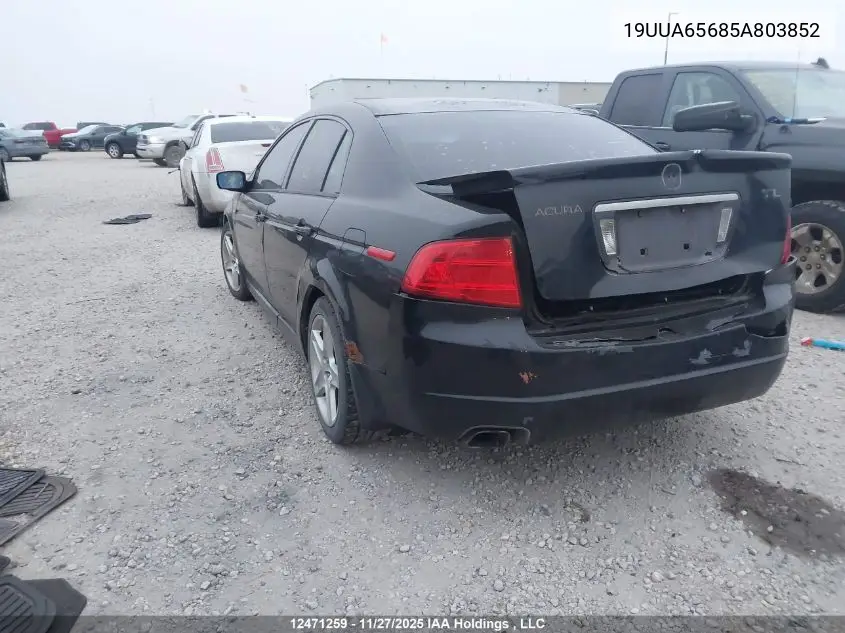 19UUA65685A803852 2005 Acura Tl