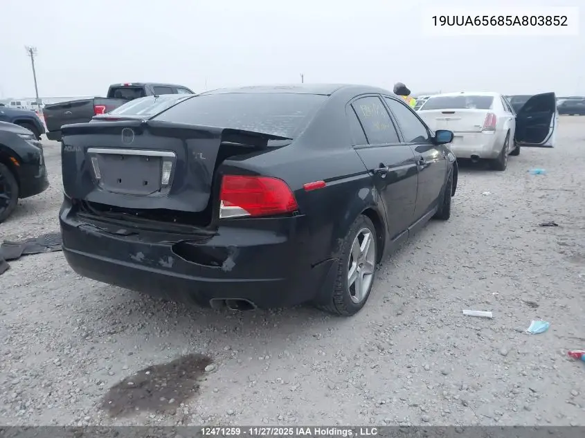 19UUA65685A803852 2005 Acura Tl