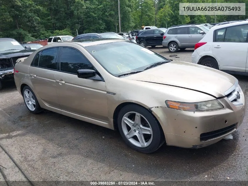 19UUA66285A075493 2005 Acura Tl