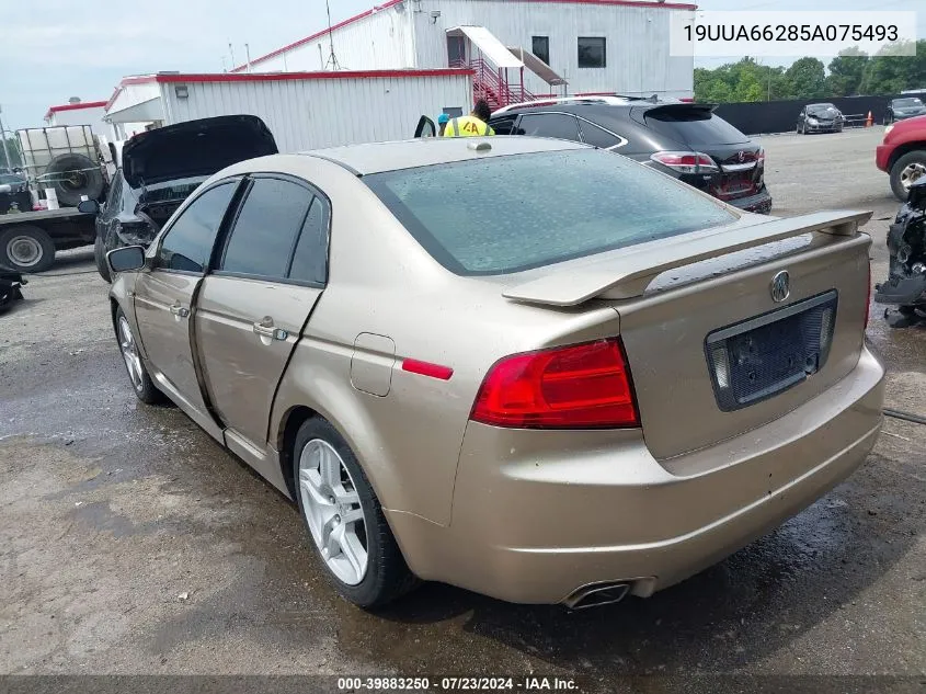 19UUA66285A075493 2005 Acura Tl