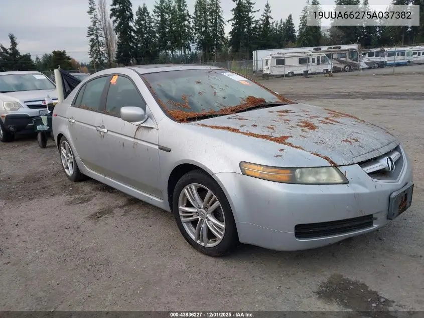 19UUA66275A037382 2005 Acura Tl