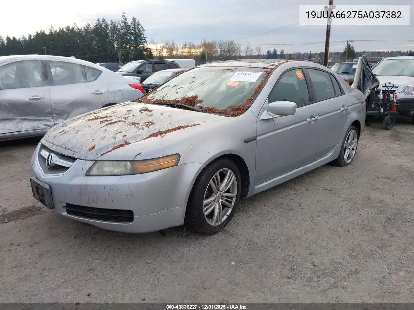 19UUA66275A037382 2005 Acura Tl