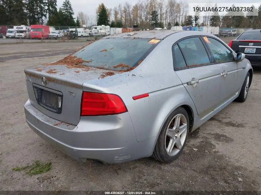 19UUA66275A037382 2005 Acura Tl