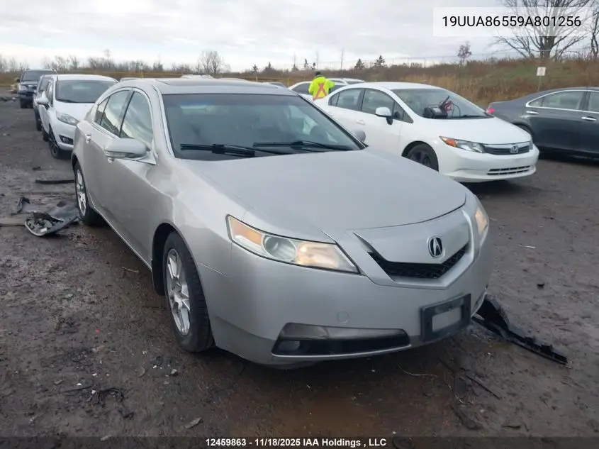 19UUA86559A801256 2009 Acura Tl