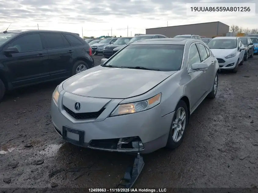 19UUA86559A801256 2009 Acura Tl