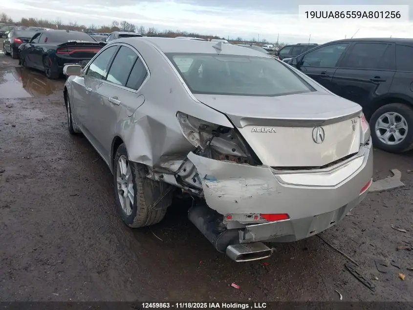 19UUA86559A801256 2009 Acura Tl