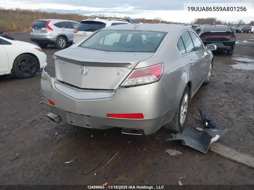 19UUA86559A801256 2009 Acura Tl