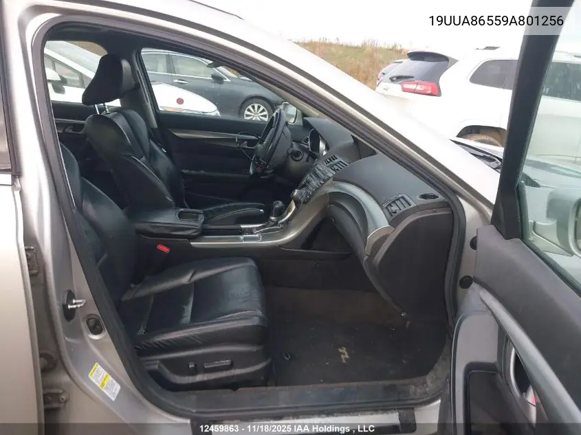 19UUA86559A801256 2009 Acura Tl