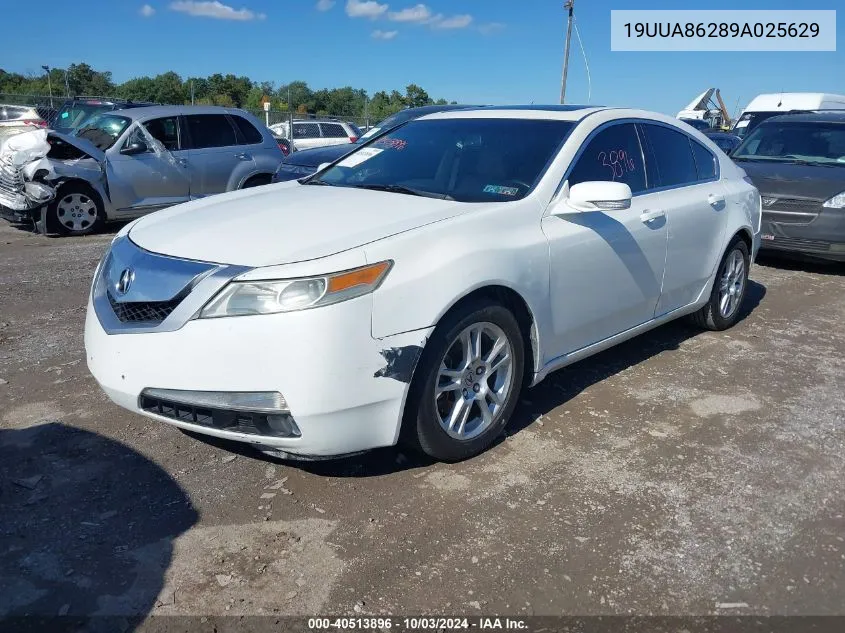 19UUA86289A025629 2009 Acura Tl 3.5