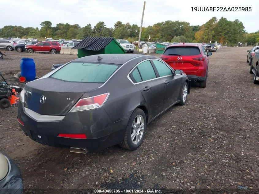 19UUA8F22AA025985 2010 Acura Tl