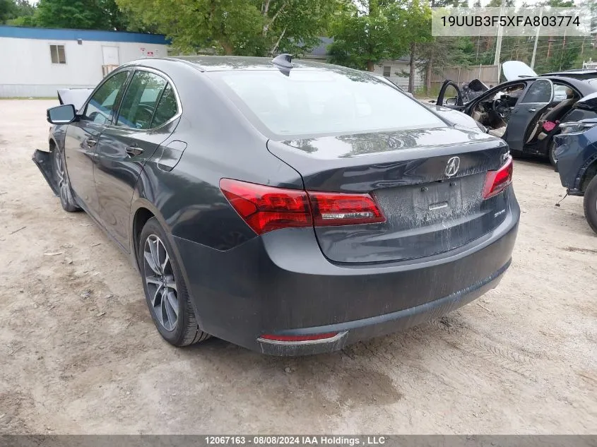 19UUB3F5XFA803774 2015 Acura Tlx