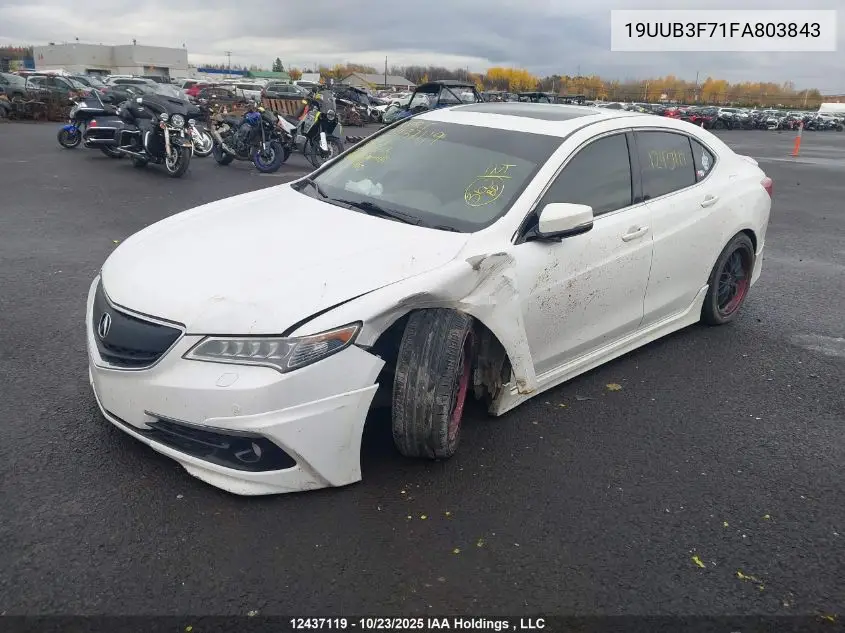 19UUB3F71FA803843 2015 Acura Tlx