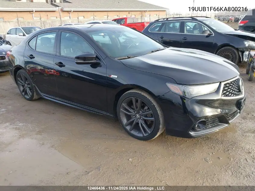 19UUB1F66KA800216 2019 Acura Tlx Tech A-Spec