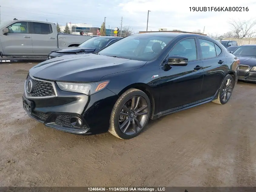 19UUB1F66KA800216 2019 Acura Tlx Tech A-Spec