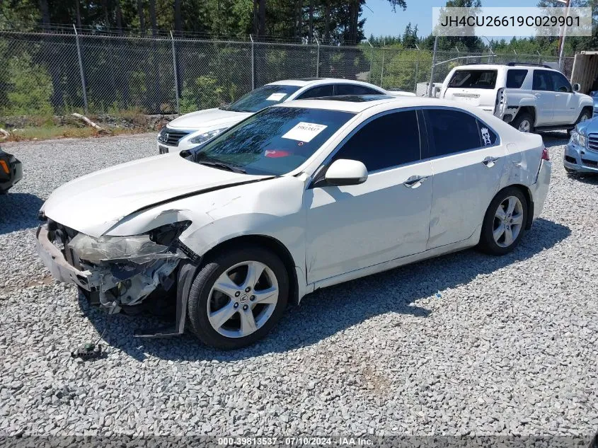 2009 Acura Tsx VIN: JH4CU26619C029901 Lot: 39813537