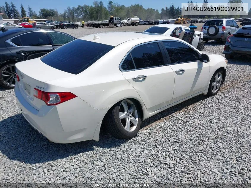 2009 Acura Tsx VIN: JH4CU26619C029901 Lot: 39813537