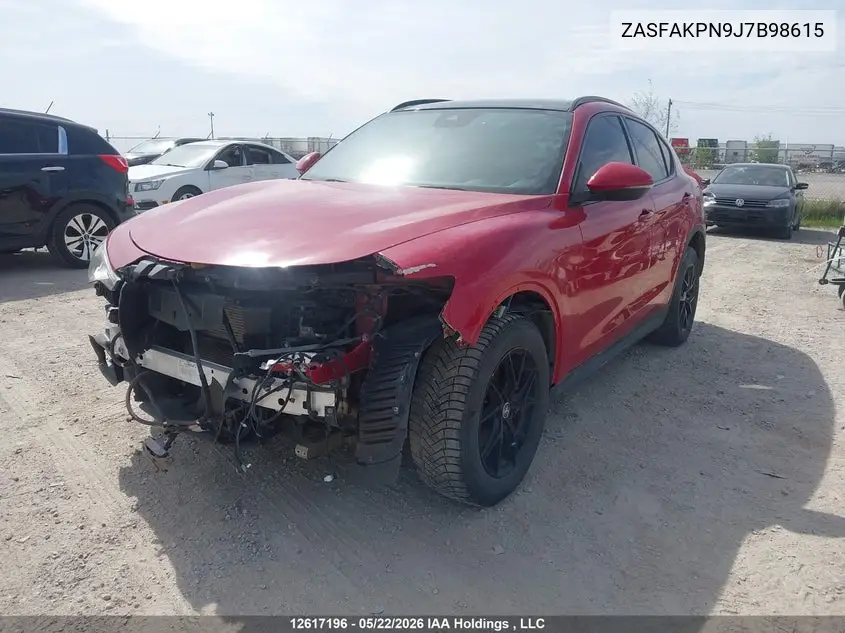 2018 Alfa Romeo Stelvio VIN: ZASFAKPN9J7B98615 Lot: 12617196