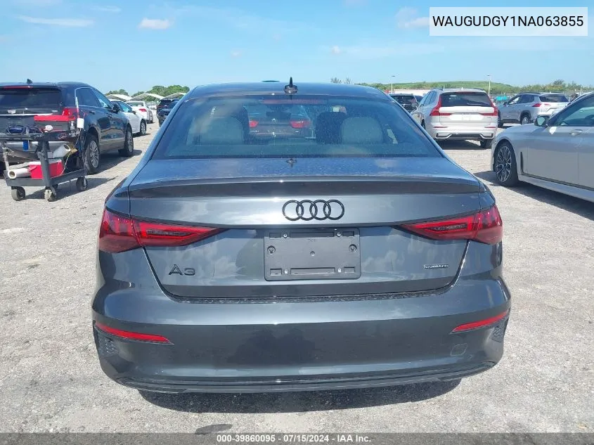 2022 Audi A3 Premium 40 Tfsi Quattro S Tronic VIN: WAUGUDGY1NA063855 Lot: 39860095