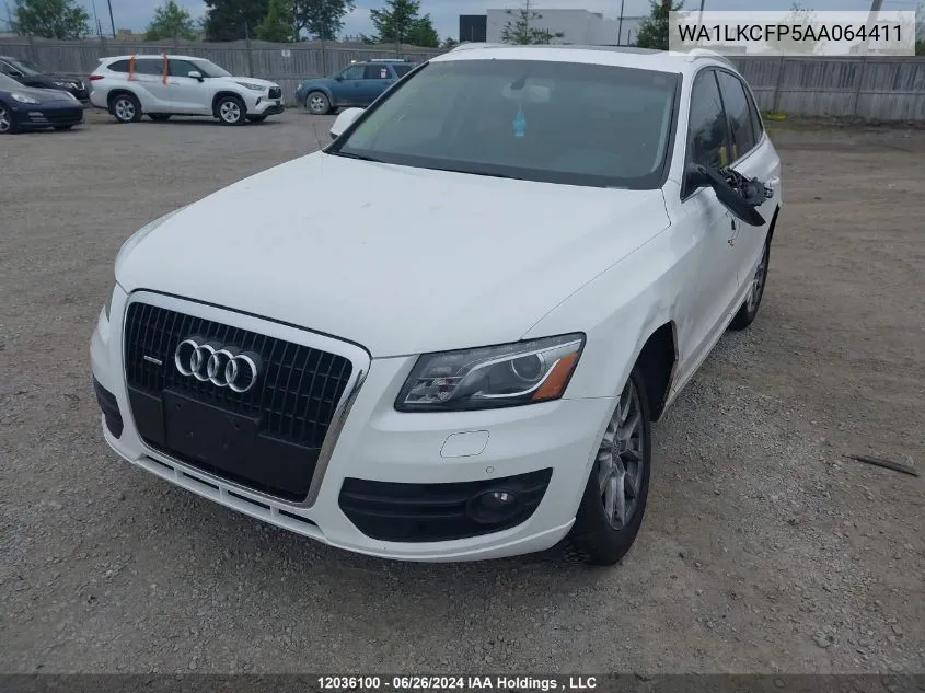 2010 Audi Q5 VIN: WA1LKCFP5AA064411 Lot: 12036100