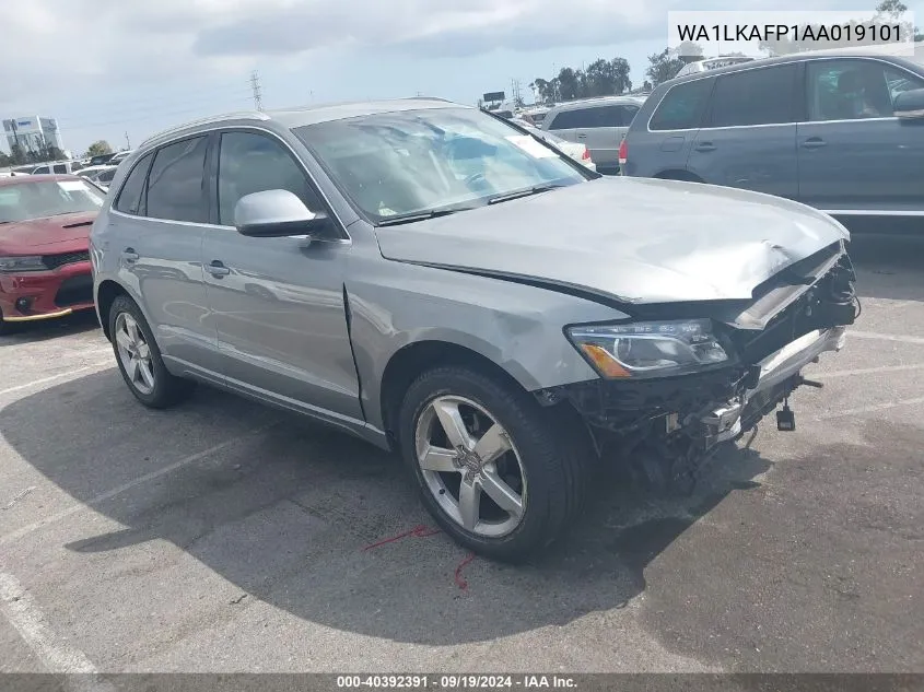 2010 Audi Q5 3.2 Premium VIN: WA1LKAFP1AA019101 Lot: 40392391