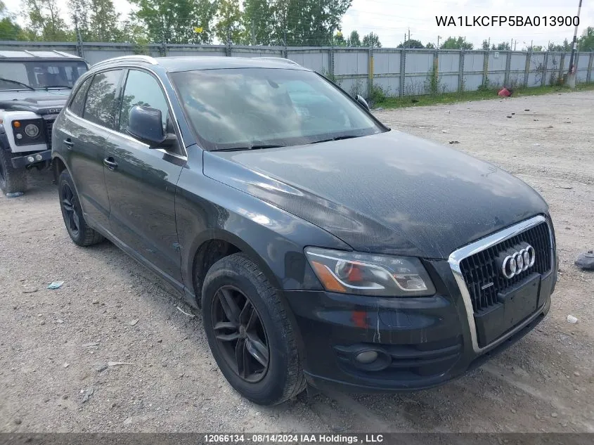 WA1LKCFP5BA013900 2011 Audi Q5 Premium Plus