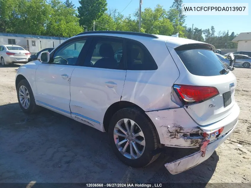 2013 Audi Q5 VIN: WA1CFCFP9DA013907 Lot: 12036568