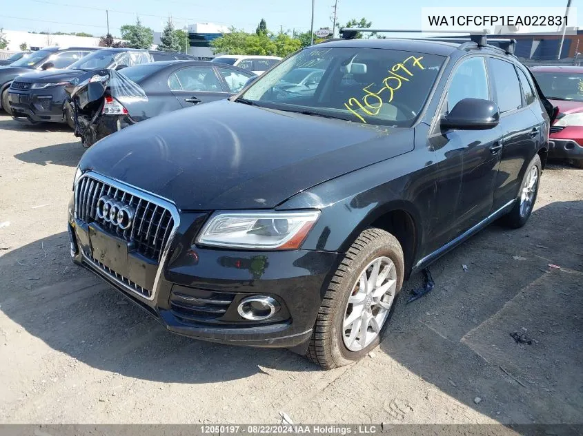 2014 Audi Q5 VIN: WA1CFCFP1EA022831 Lot: 12050197