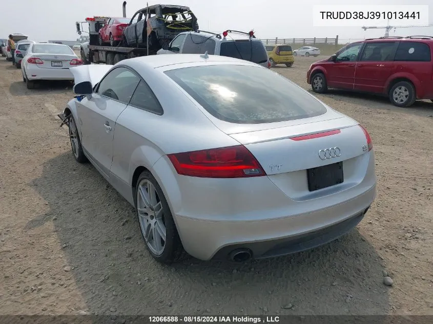 2009 Audi Tt VIN: TRUDD38J391013441 Lot: 12066588