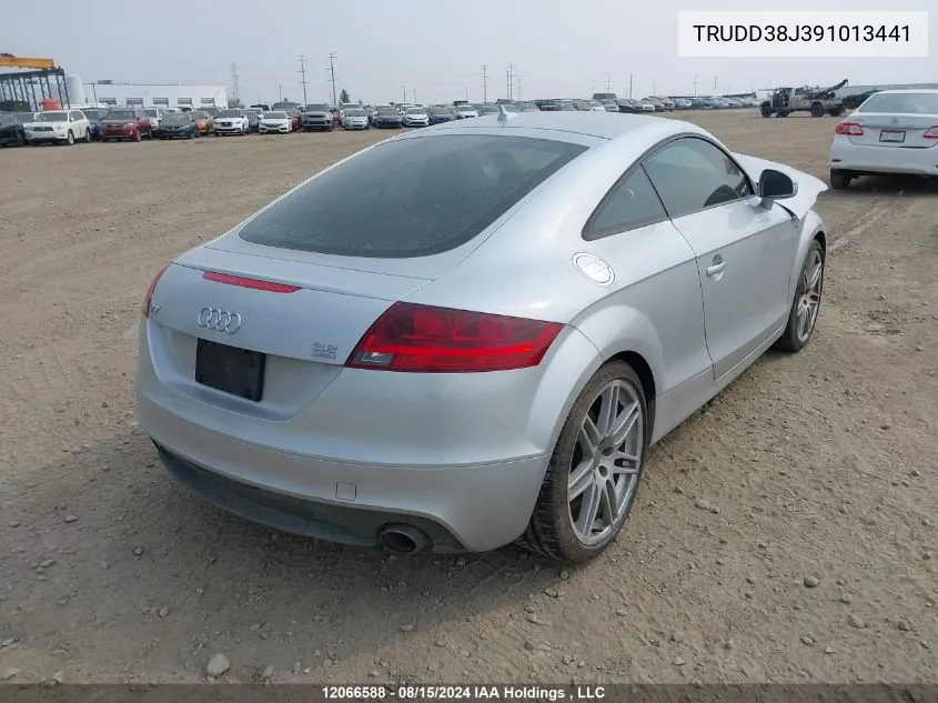 2009 Audi Tt VIN: TRUDD38J391013441 Lot: 12066588