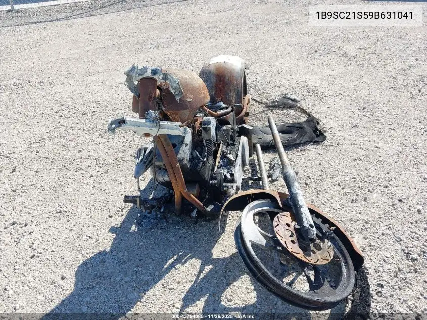 1B9SC21S59B631041 2009 Big Bear Choppers The Sled Chopper