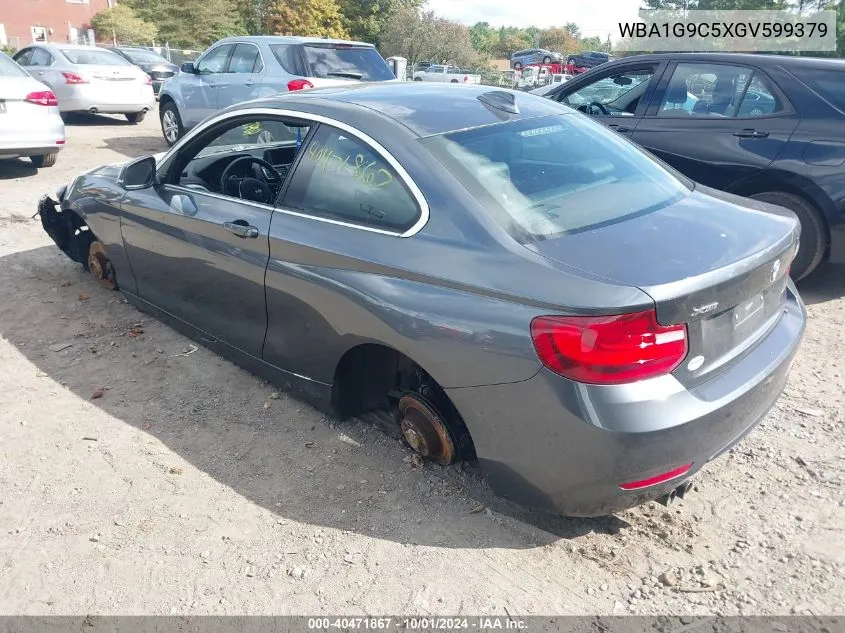 WBA1G9C5XGV599379 2016 BMW 228I xDrive