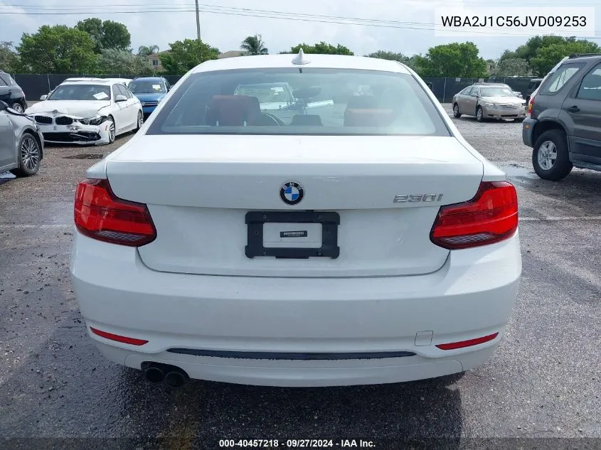 WBA2J1C56JVD09253 2018 BMW 230I