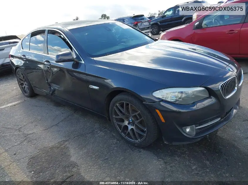 WBAXG5C59CDX06375 2012 BMW 528I