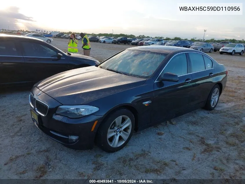 WBAXH5C59DD110956 2013 BMW 528 Xi