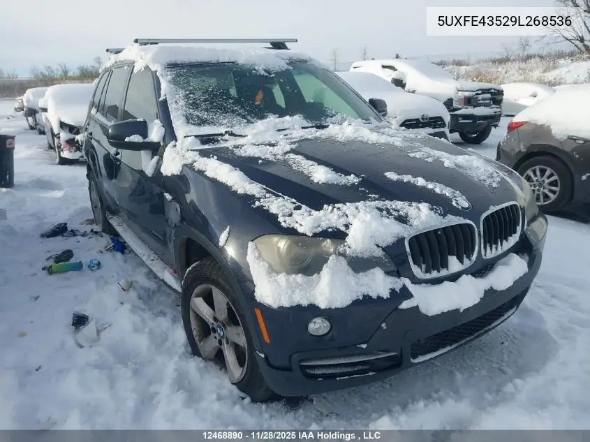 5UXFE43529L268536 2009 BMW X5 xDrive30I