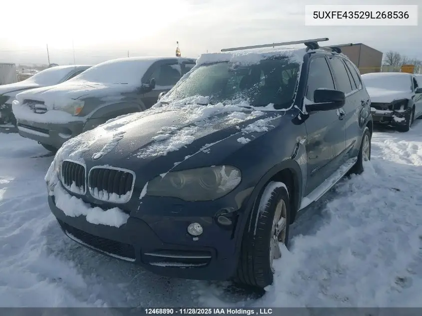 5UXFE43529L268536 2009 BMW X5 xDrive30I