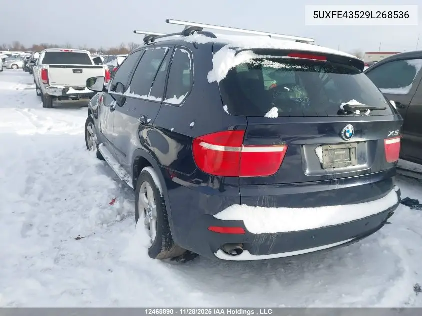 5UXFE43529L268536 2009 BMW X5 xDrive30I