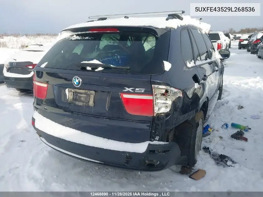 5UXFE43529L268536 2009 BMW X5 xDrive30I