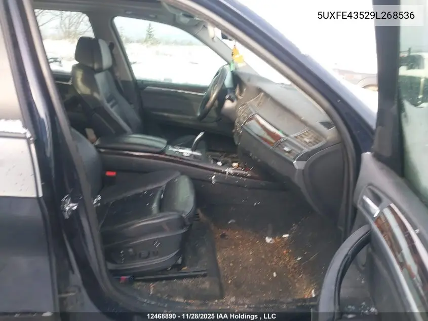 5UXFE43529L268536 2009 BMW X5 xDrive30I
