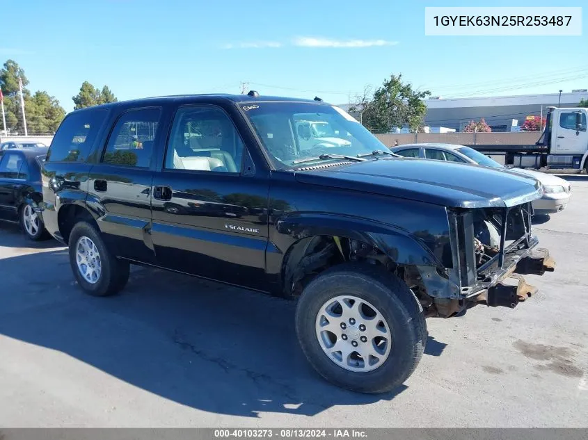 2005 Cadillac Escalade Standard VIN: 1GYEK63N25R253487 Lot: 40103273