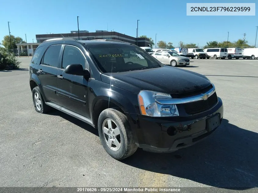 2CNDL23F796229599 2009 Chevrolet Equinox Ls V6