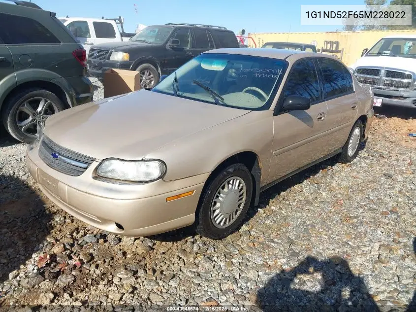 1G1ND52F65M228022 2005 Chevrolet Classic