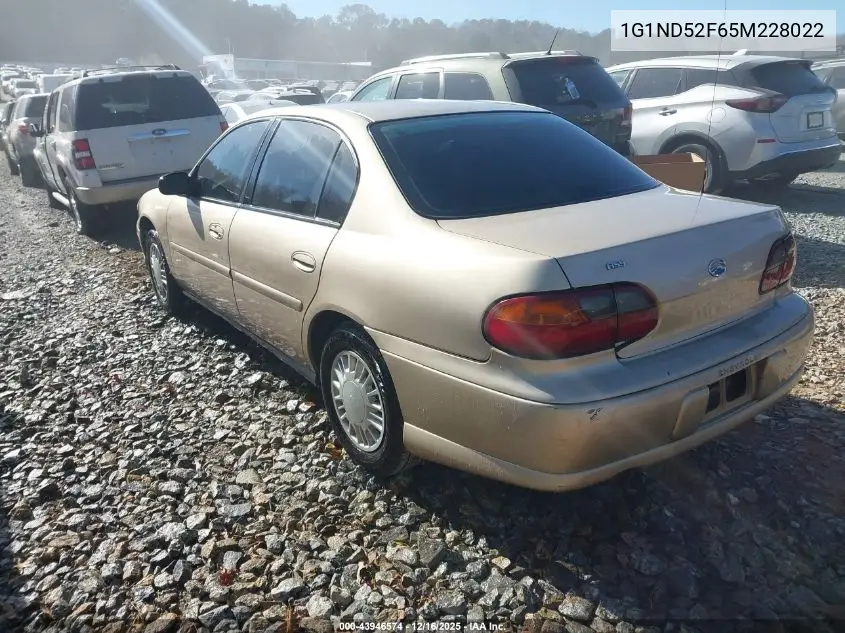 1G1ND52F65M228022 2005 Chevrolet Classic