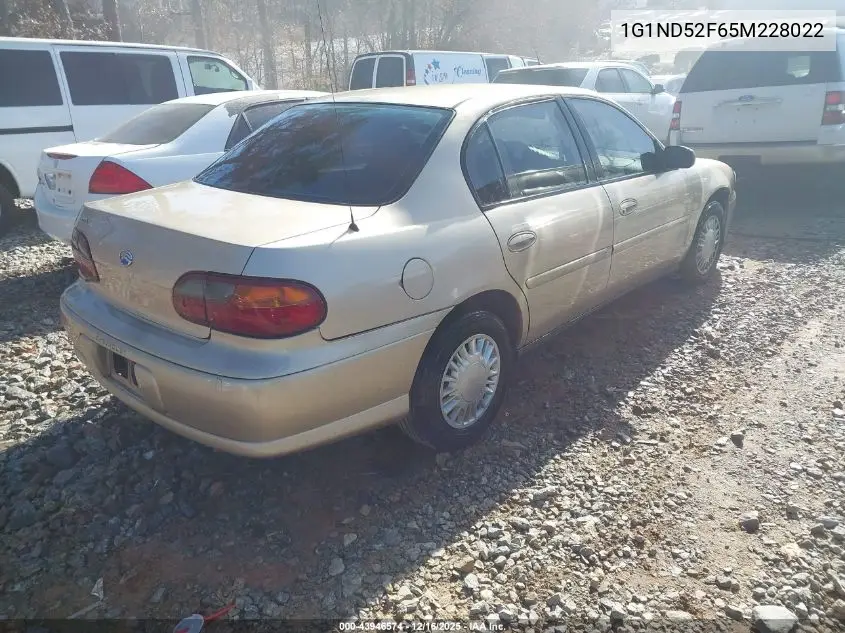 1G1ND52F65M228022 2005 Chevrolet Classic