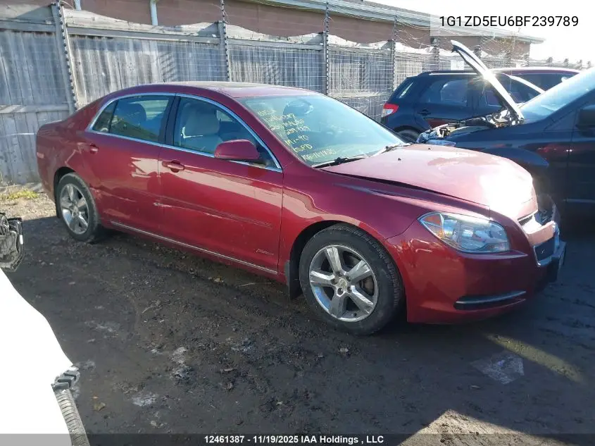 1G1ZD5EU6BF239789 2011 Chevrolet Malibu
