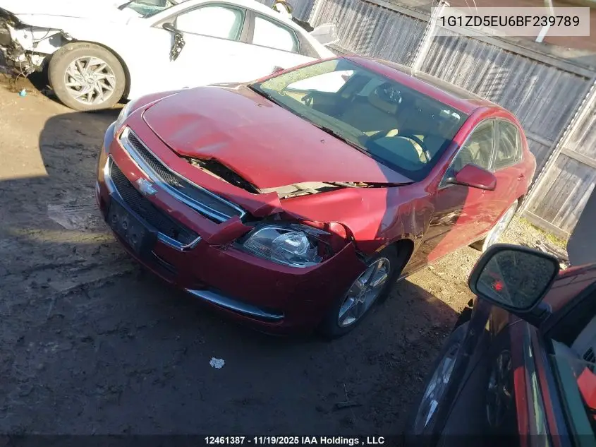 1G1ZD5EU6BF239789 2011 Chevrolet Malibu