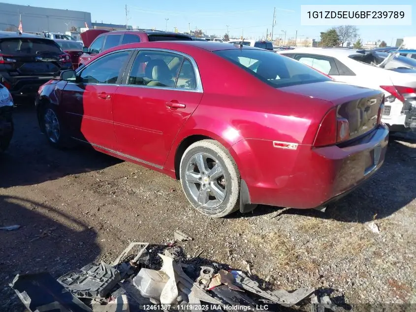 1G1ZD5EU6BF239789 2011 Chevrolet Malibu