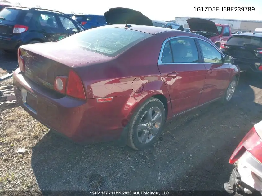 1G1ZD5EU6BF239789 2011 Chevrolet Malibu